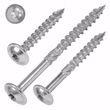 Tellerkopfschrauben Edelstahl C1, 8x60, 8x80, 8x100 mit ETA Zullassung und TX40