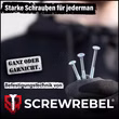 Spanplattenschraube mit Teilgewinde, Stahl hell verzinkt, Fräsrippen und TX-Antrieb 3 Größen gehalten SCREWREBEL