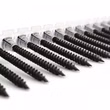 SCREW REBEL Magazinierte Hartgipsplattenschrauben 3,9x38 mm mit Schneidkante am Kopf Langband SCREW REBEL Magazinierte Hartgipsplattenschrauben 3,9x38 mm mit Schneidkante am Kopf Langband